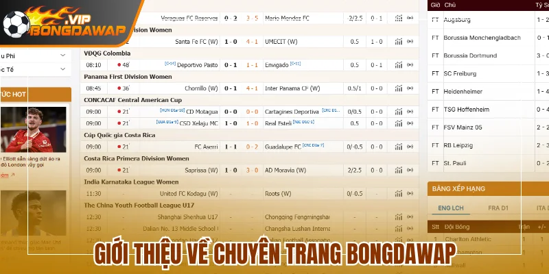 BongDaWap - Cập Nhập Dữ Liệu Bóng Đá Số Trực Tuyến 610 Giới thiệu về chuyên trang BongdaWap