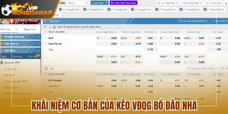 Khái niệm cơ bản của kèo VĐQG Bồ Đào Nha